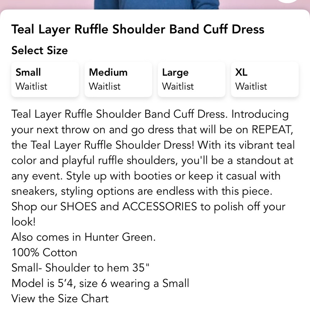 Blue Ruffle Sleeve Dress - Picture 5 of 5